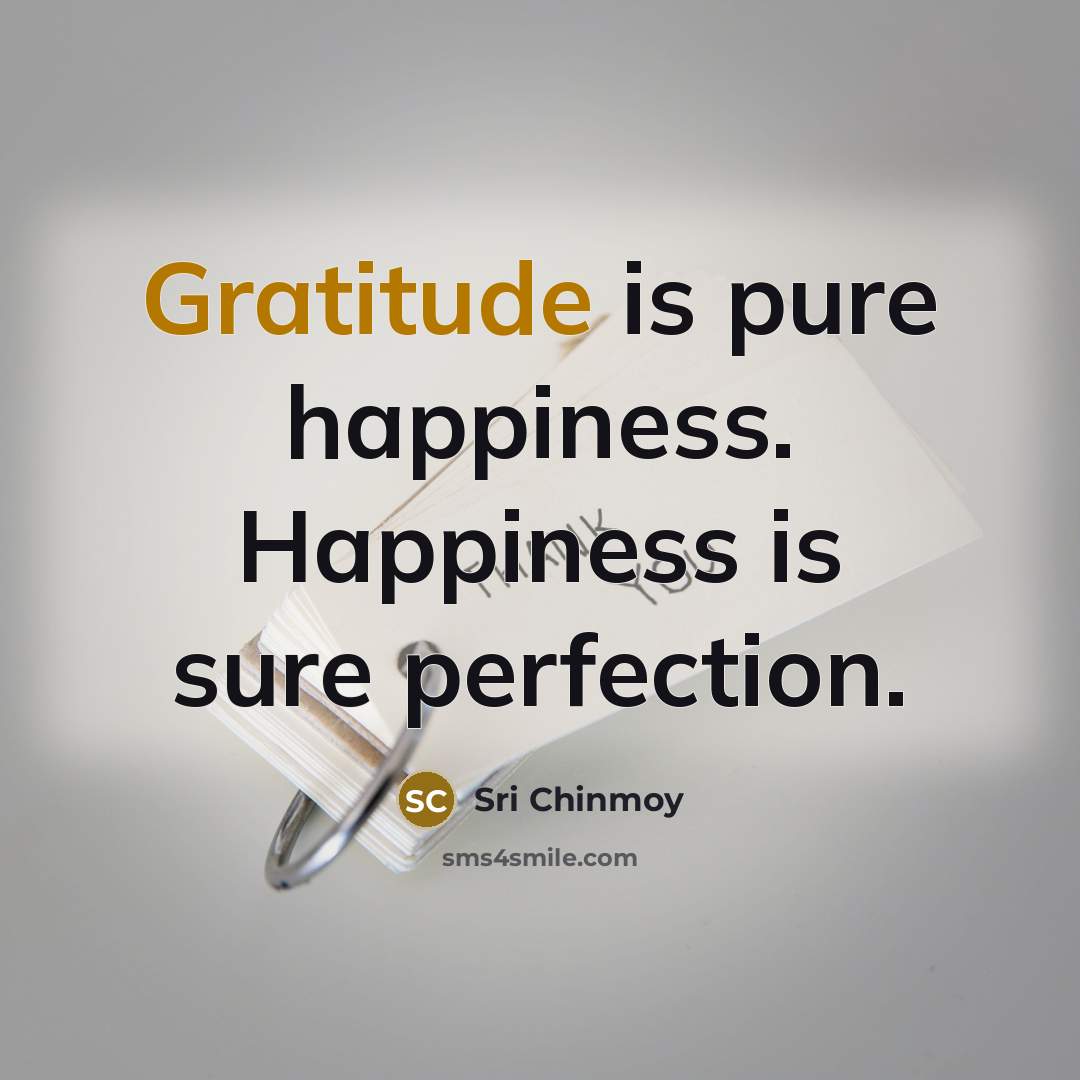 “Gratitude is pure happiness. Happiness is sure perfection.…” quote by Sri Chinmoy