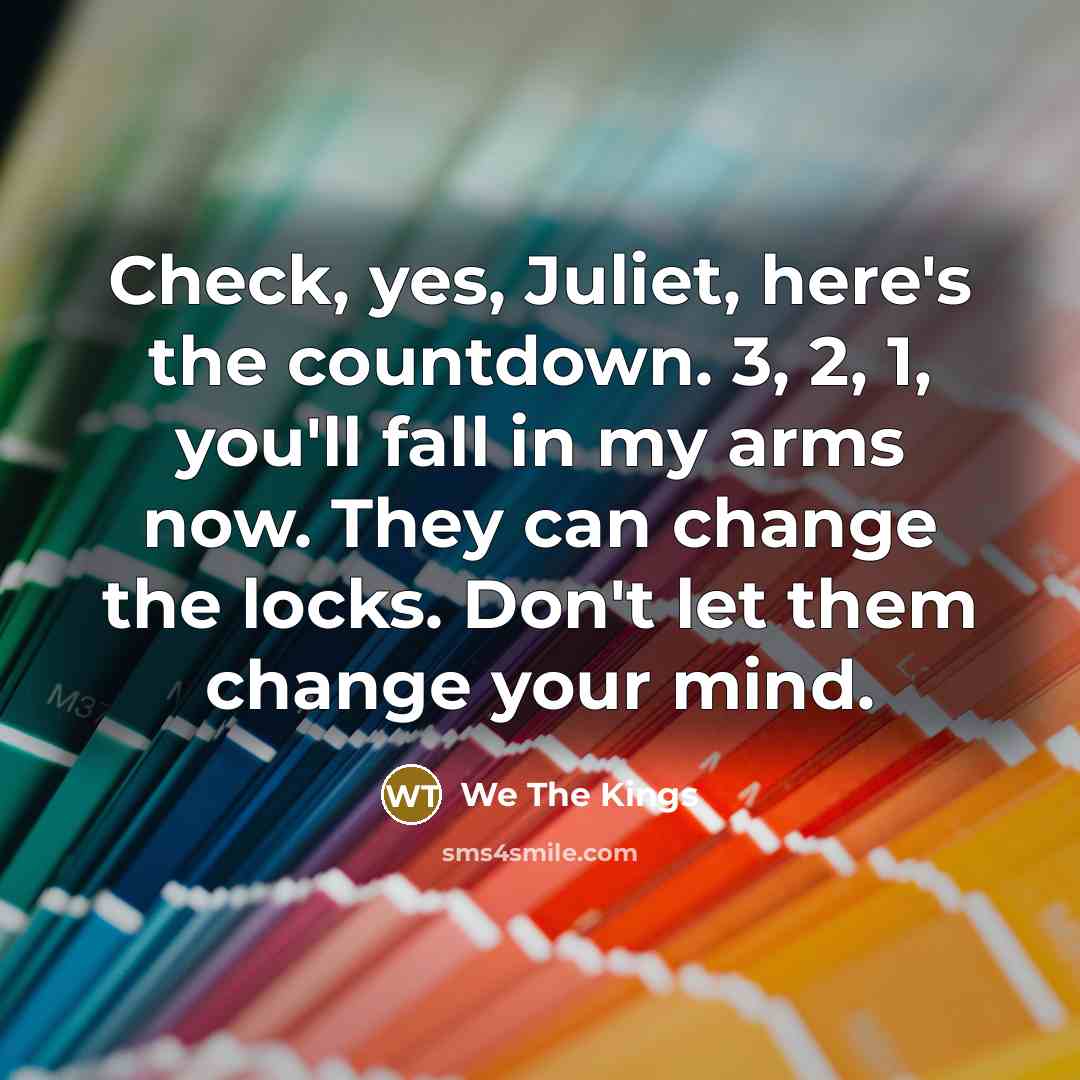 “Check, yes, Juliet, here's the countdown. 3, 2, 1, you'll…” quote by We The Kings