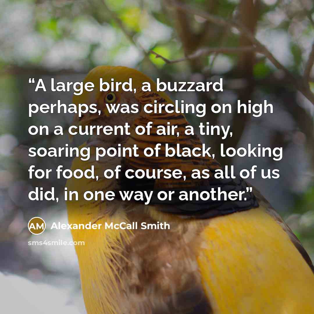 “A large bird, a buzzard perhaps, was circling on high on a current of air, a tiny, soaring point of black, looking for food, of course, as all of us did, in one way or another.” quote by Alexander McCall Smith