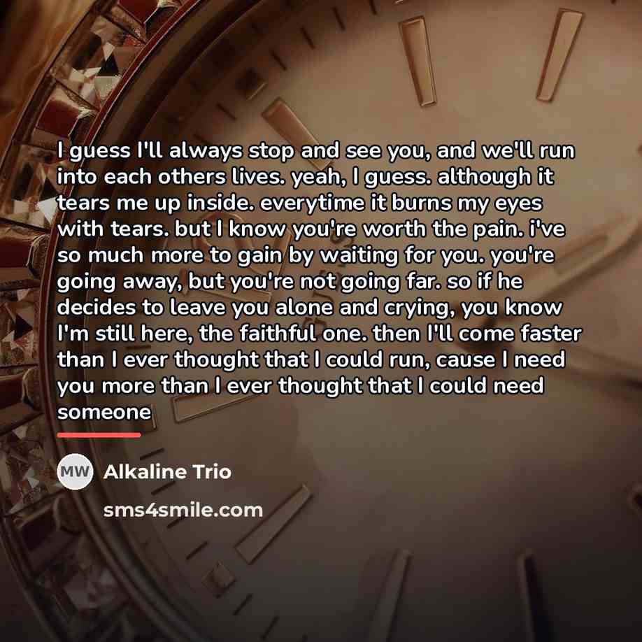 “I guess I'll always stop and see you, and we'll…” quote by Alkaline Trio