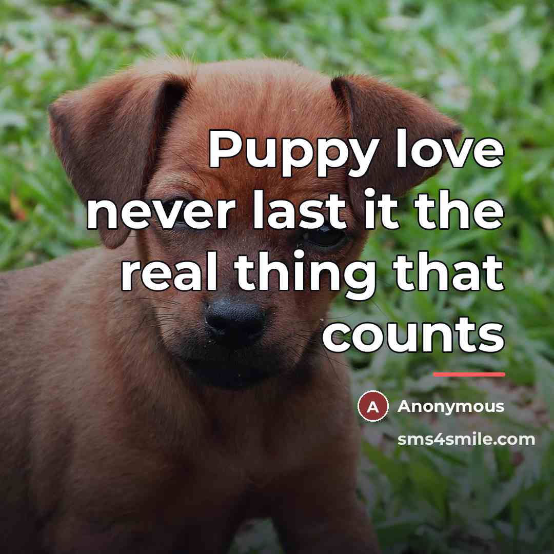 “Puppy love never last it the real thing that counts…” quote by Anonymous