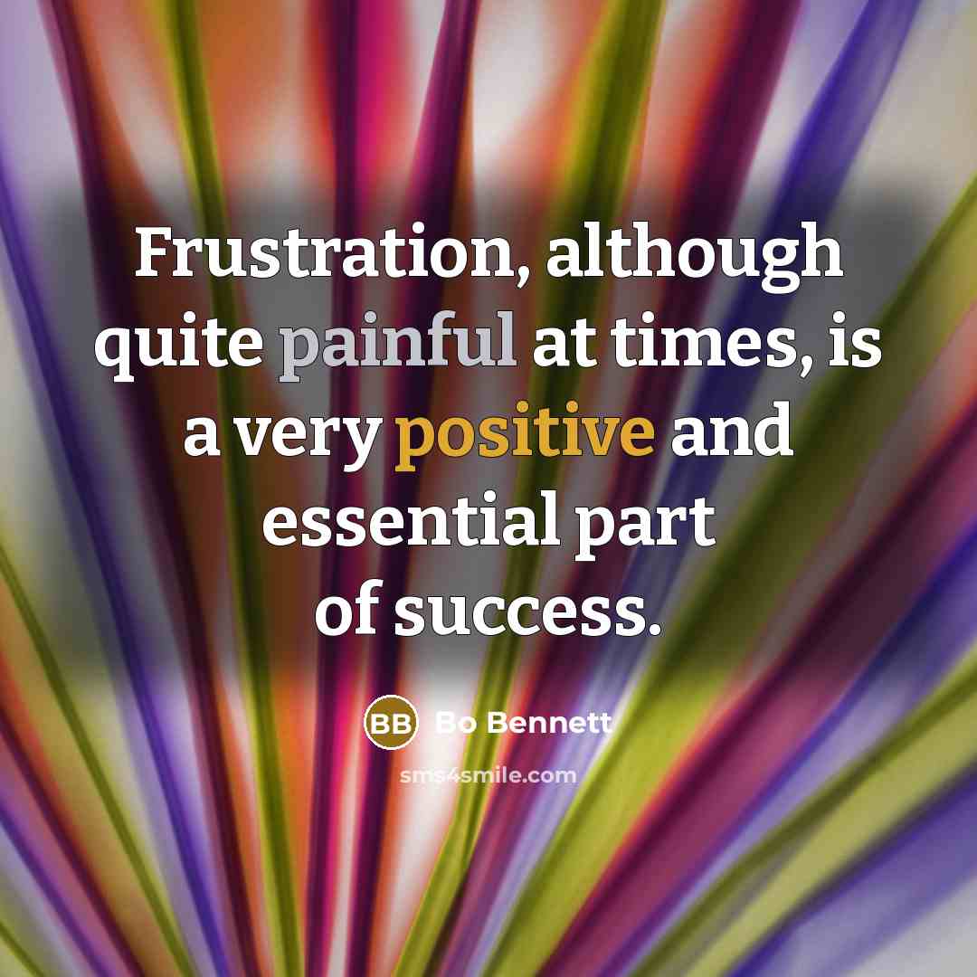 “Frustration, although quite painful at times, is a very positive…” quote by Bo Bennett