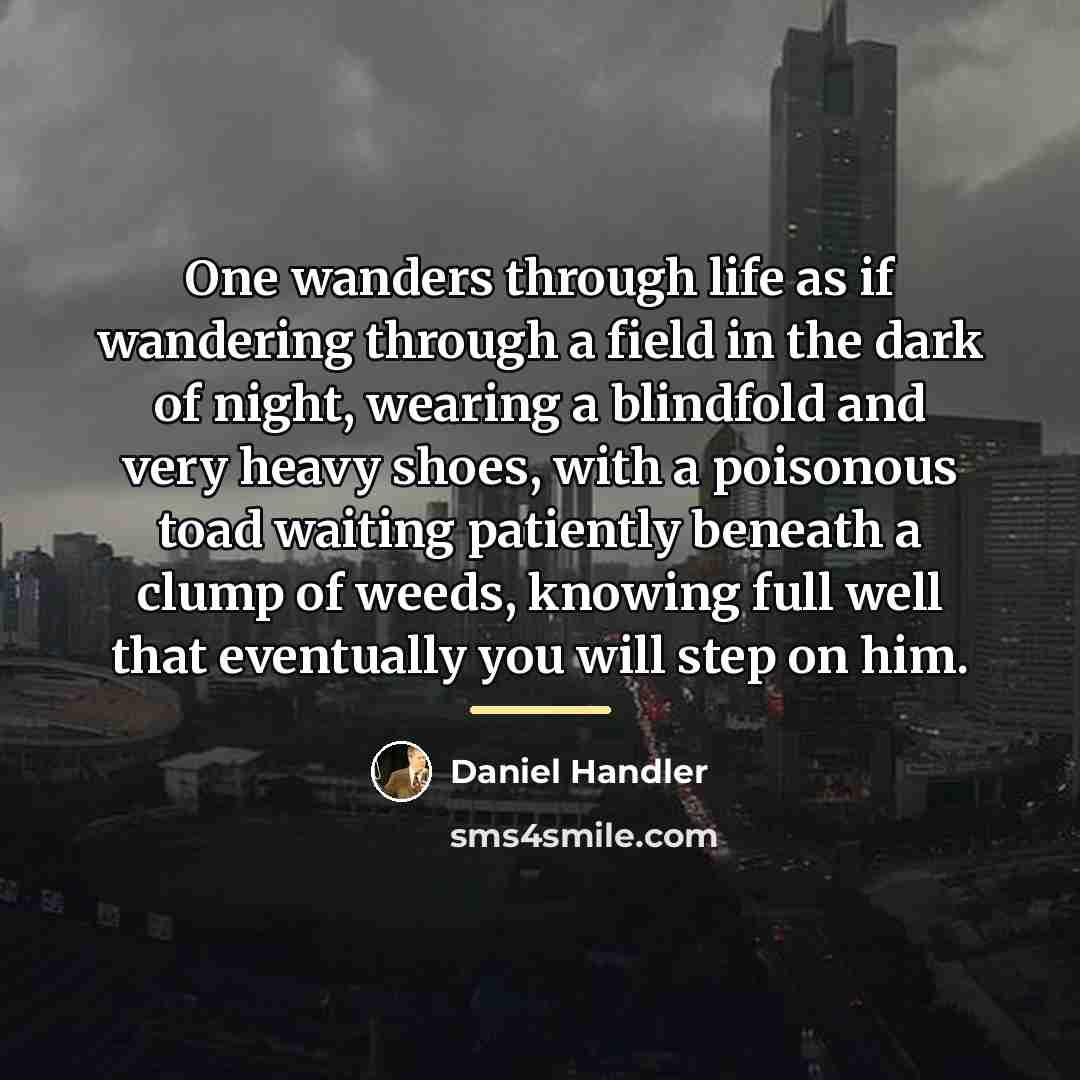 “One wanders through life as if wandering through a field…” quote by Daniel Handler