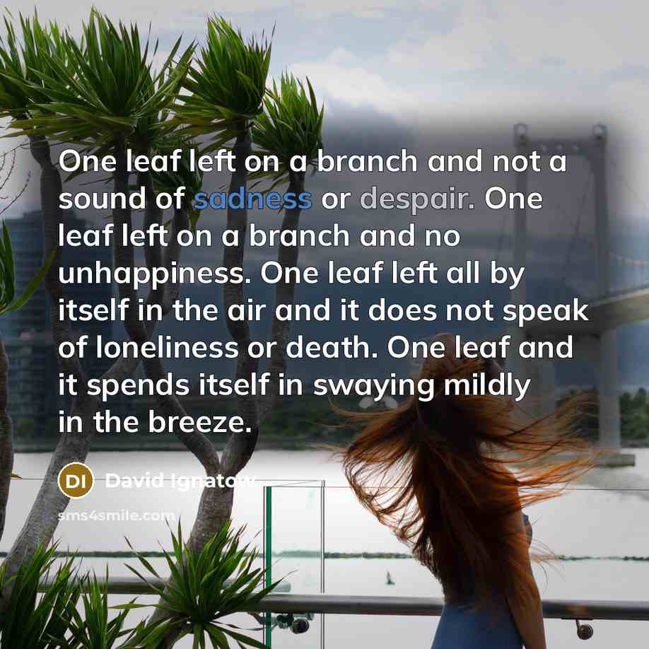 “One leaf left on a branch and not a sound…” quote by David Ignatow