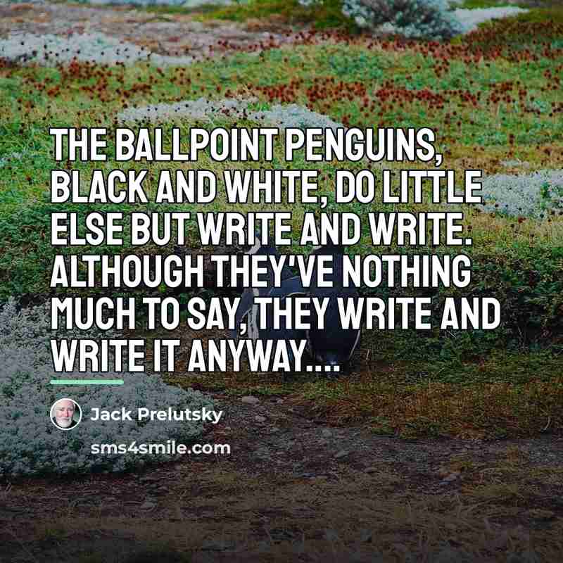 “The BALLPOINT PENGUINS, black and white, Do little else but…” quote by Jack Prelutsky