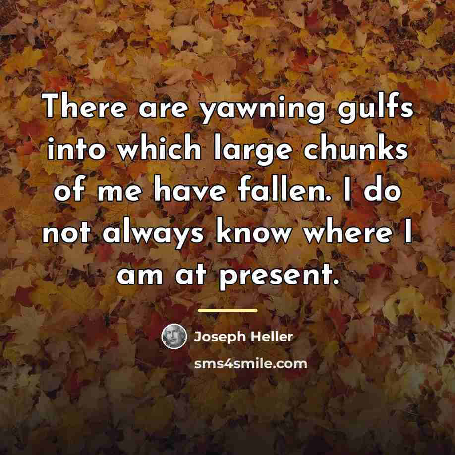 “There are yawning gulfs into which large chunks of me…” quote by Joseph Heller