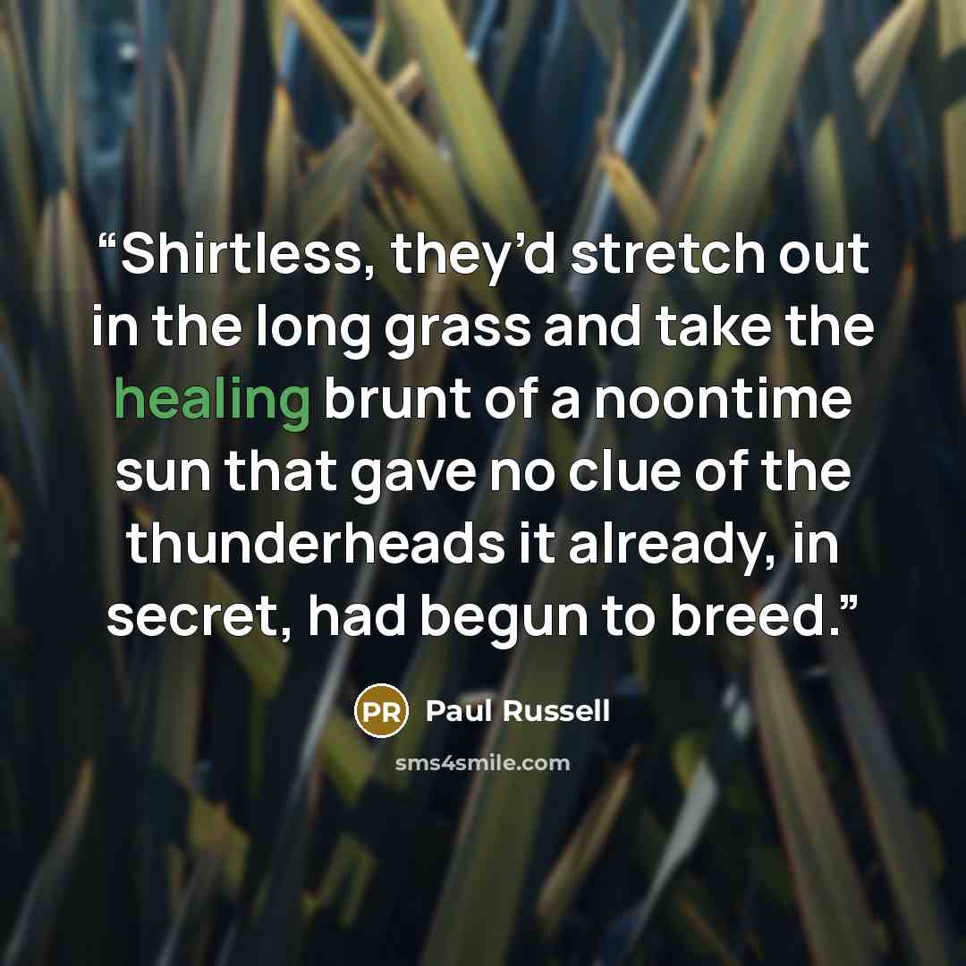 “Shirtless, they’d stretch out in the long grass and take the healing brunt of a noontime sun that gave no clue of the thunderheads it already, in secret, had begun to breed.” quote by Paul Russell