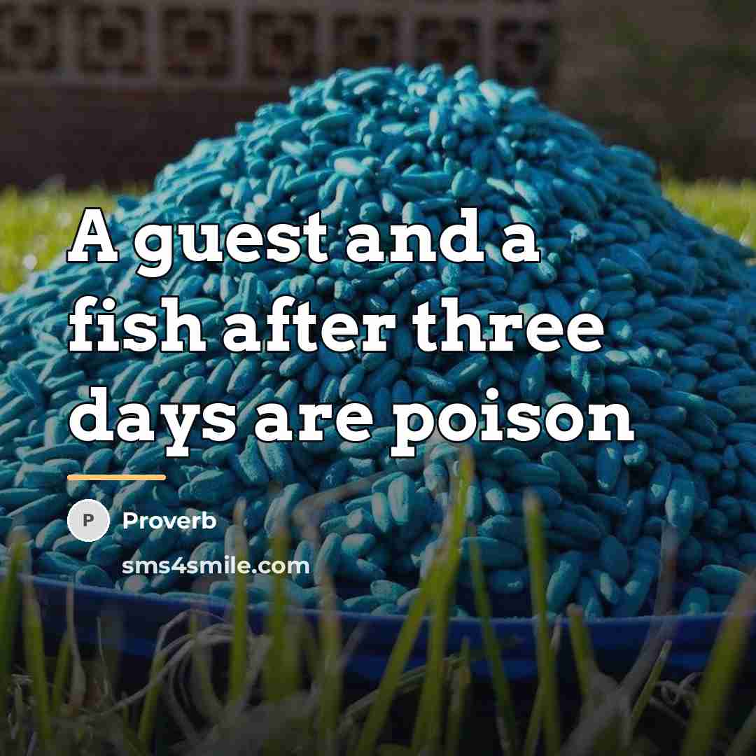 “A guest and a fish after three days are poison…” quote by Proverb