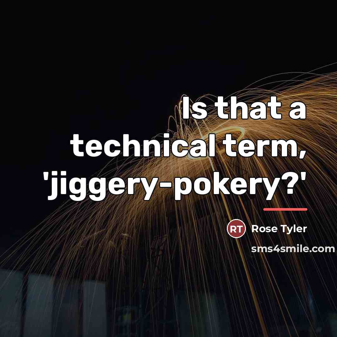 “Is that a technical term, 'jiggery-pokery?'…” quote by Rose Tyler
