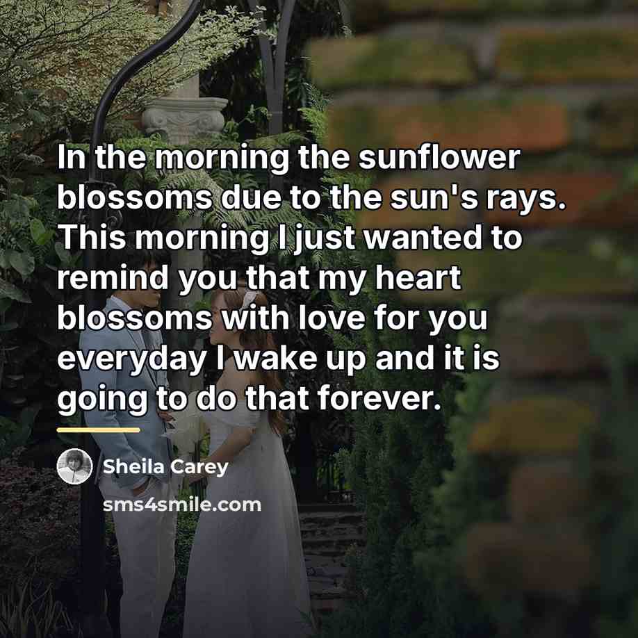 “In the morning the sunflower blossoms due to the sun's…” quote by Sheila Carey