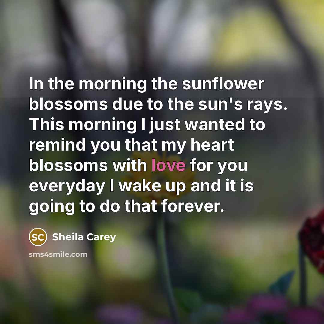 “In the morning the sunflower blossoms due to the sun's rays. This morning I just wanted to remind you that my heart blossoms with love for you everyday I wake up and it is going to do that forever.” quote by Sheila Carey