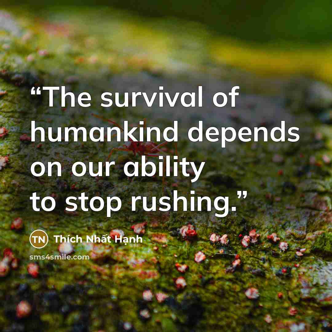 “The survival of humankind depends on our ability to stop rushing.” quote by Thich Nhat Hanh