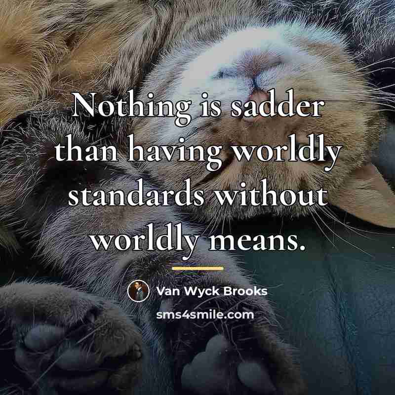 “Nothing is sadder than having worldly standards without worldly means.…” quote by Van Wyck Brooks