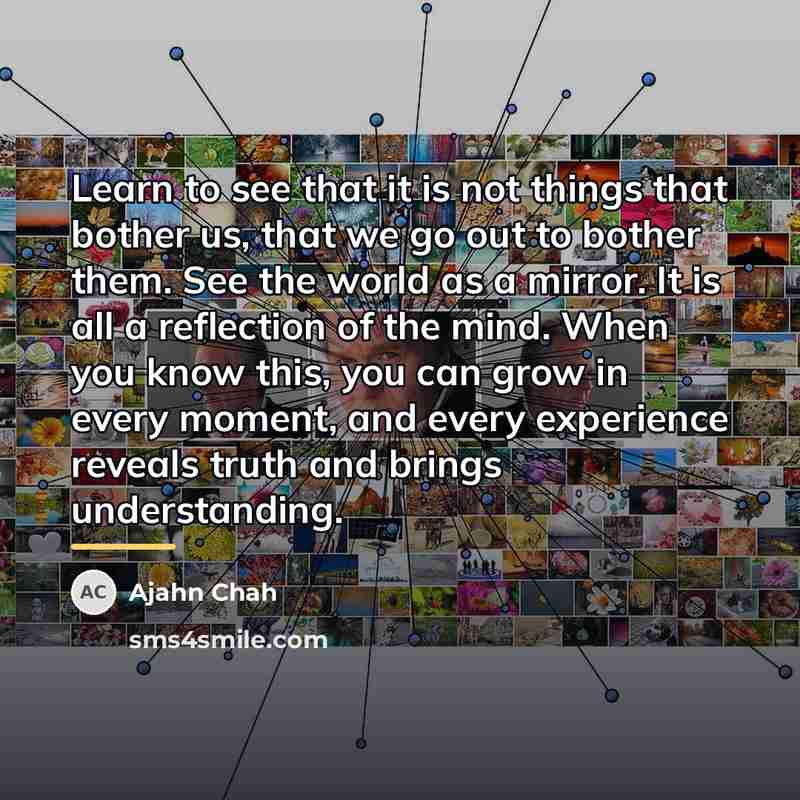 “Learn to see that it is not things that bother…” quote by Ajahn Chah
