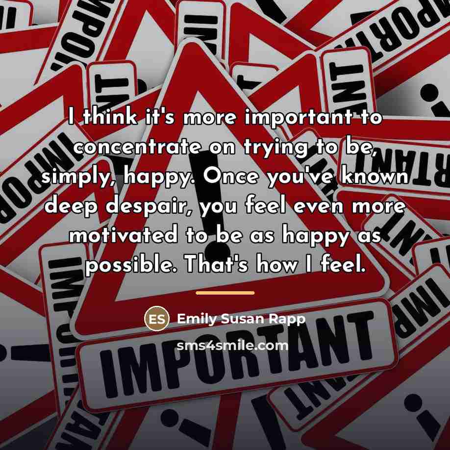 “I think it's more important to concentrate on trying to…” quote by Emily Susan Rapp