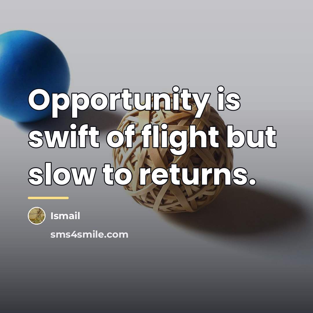 “Opportunity is swift of flight but slow to returns.…” quote by Ismail