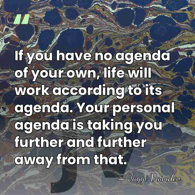 If you have no agenda of your own, life will work according&hellip; - Jaggi Vasudev