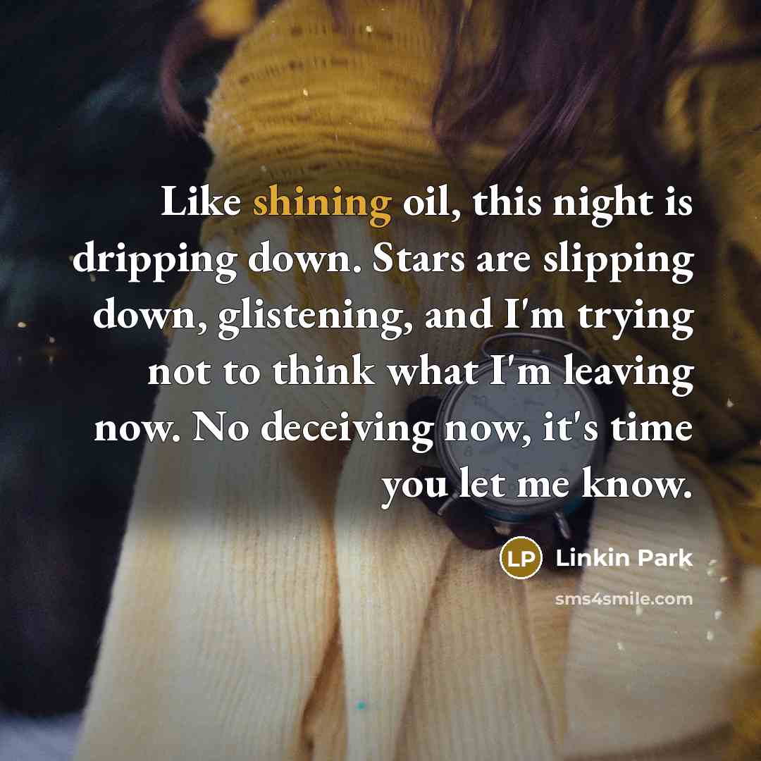 “Like shining oil, this night is dripping down. Stars are…” quote by Linkin Park