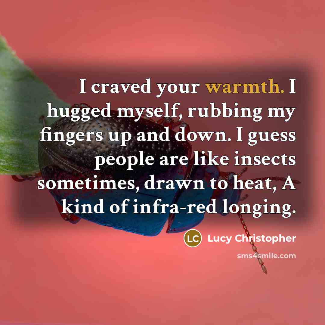 “I craved your warmth. I hugged myself, rubbing my fingers…” quote by Lucy Christopher