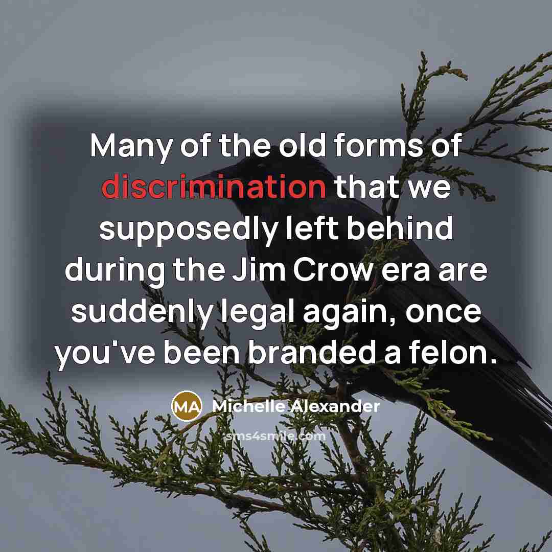 “Many of the old forms of discrimination that we supposedly…” quote by Michelle Alexander