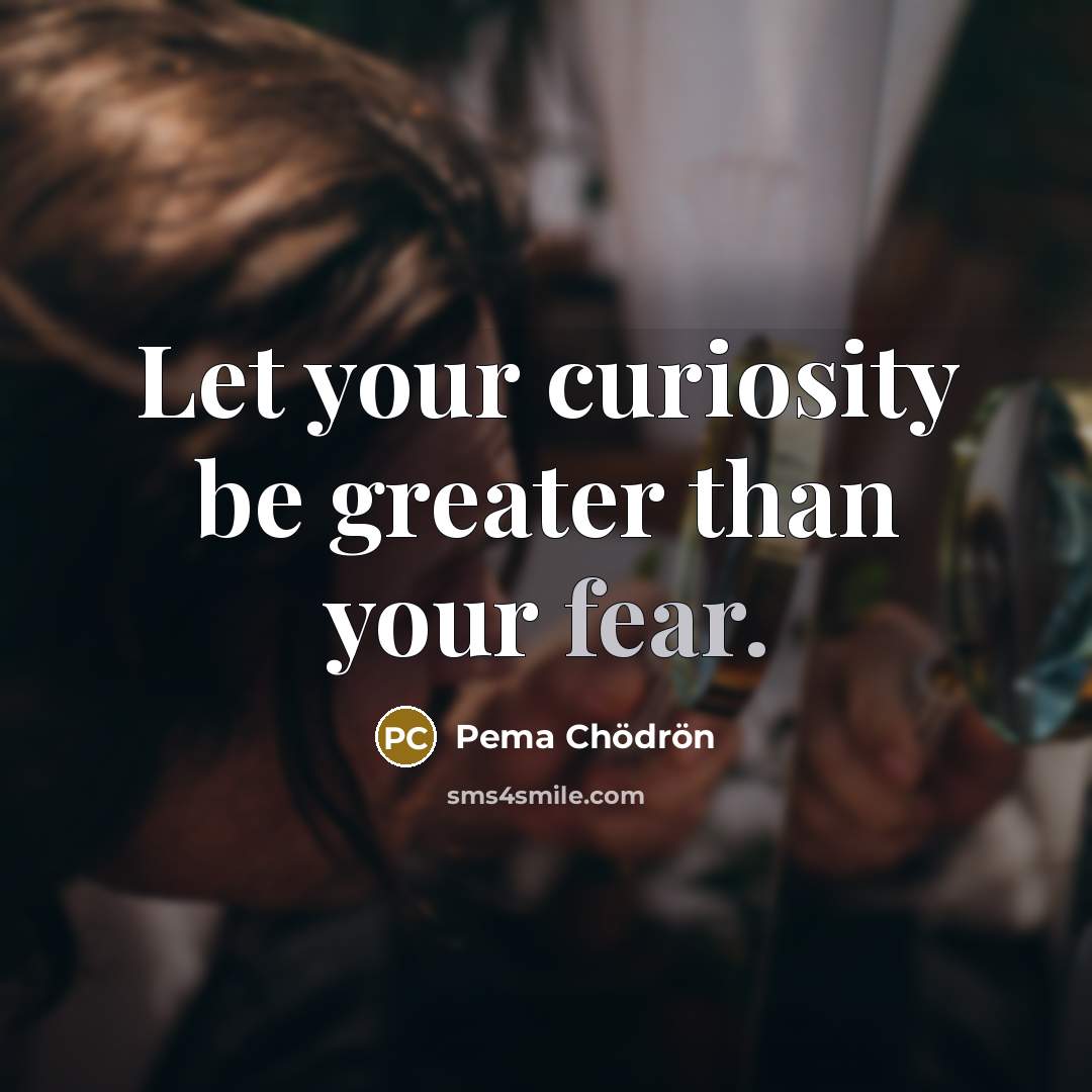 “Let your curiosity be greater than your fear.…” quote by Pema Chodron