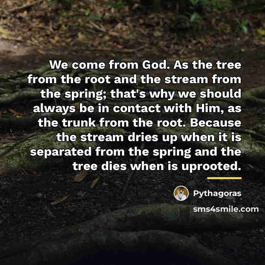 “We come from God. As the tree from the root…” quote by Pythagoras