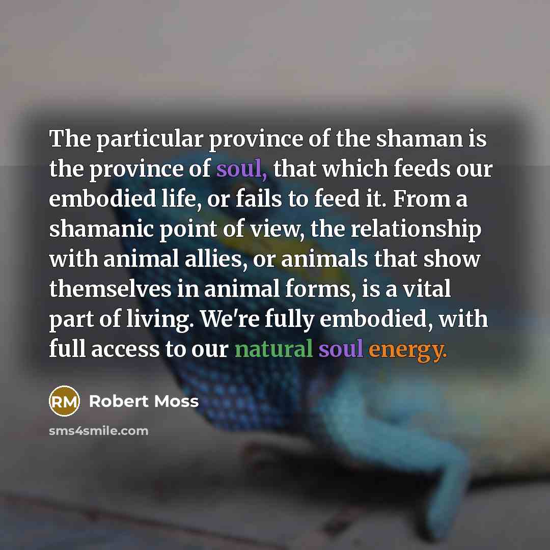 “The particular province of the shaman is the province of…” quote by Robert Moss