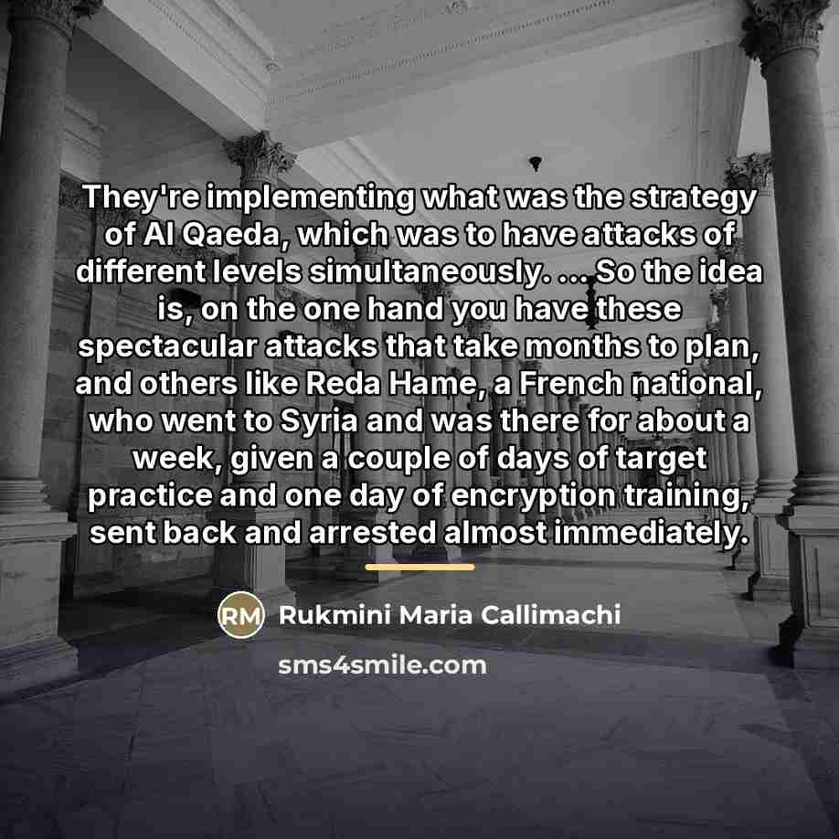 “They're implementing what was the strategy of Al Qaeda, which…” quote by Rukmini Maria Callimachi