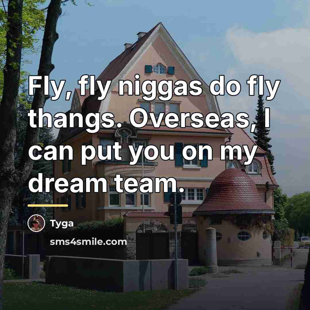 “Fly, fly niggas do fly thangs. Overseas, I can put…” quote by Tyga