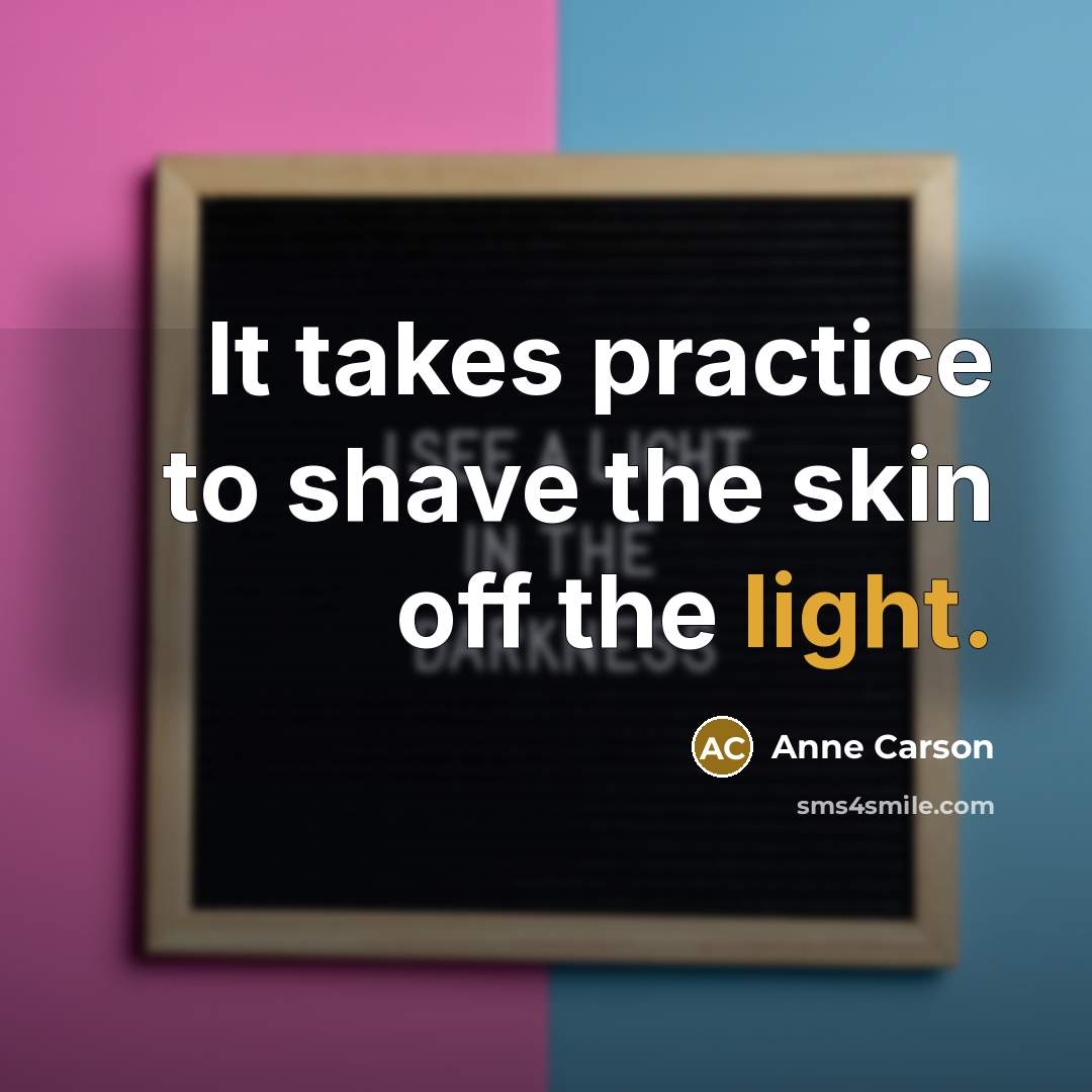 “It takes practice to shave the skin off the light.…” quote by Anne Carson