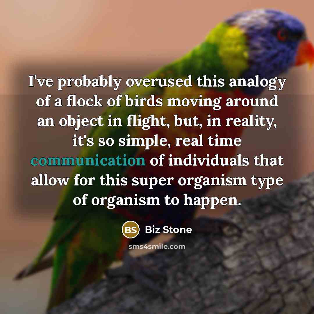 “I've probably overused this analogy of a flock of birds…” quote by Biz Stone
