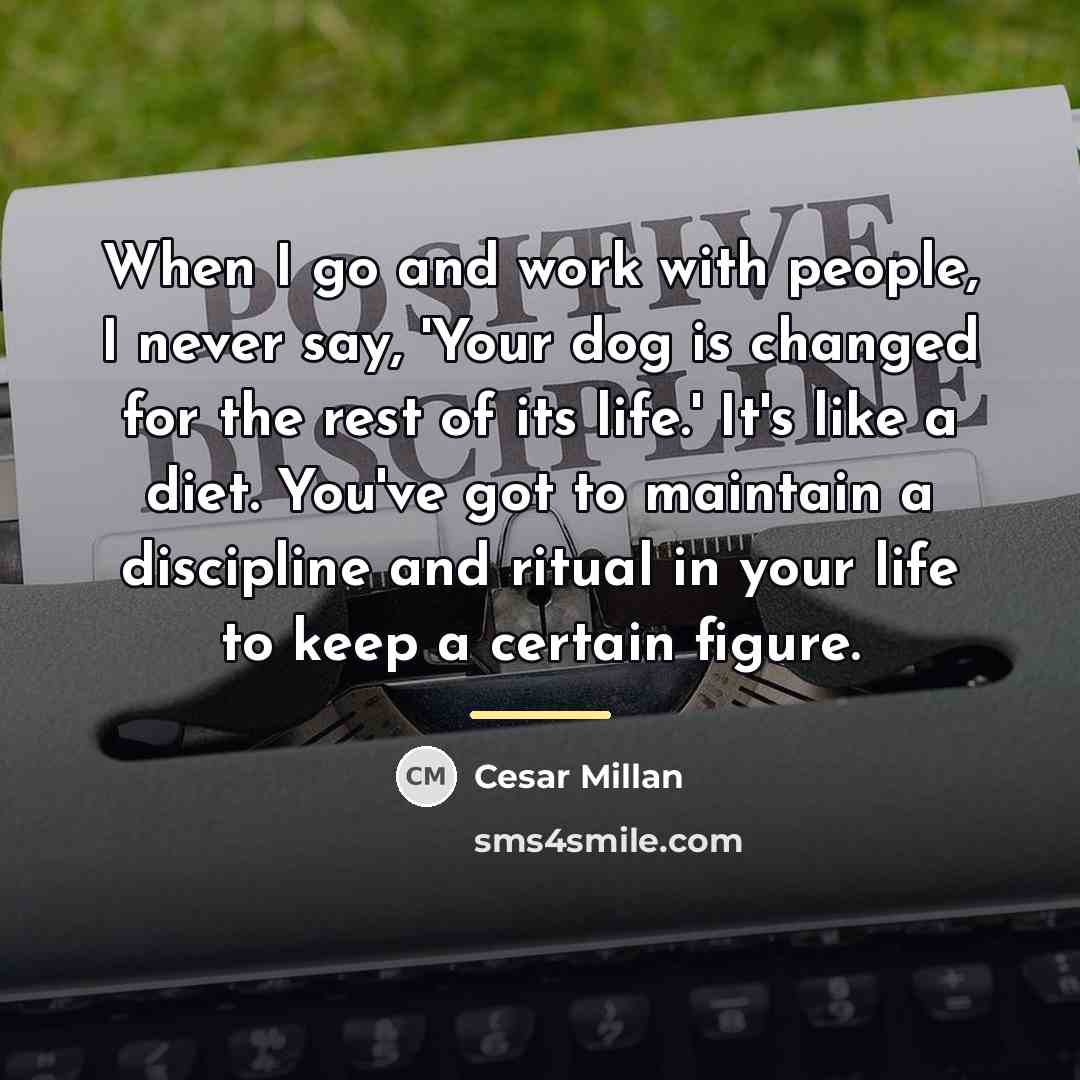 “When I go and work with people, I never say,…” quote by Cesar Millan