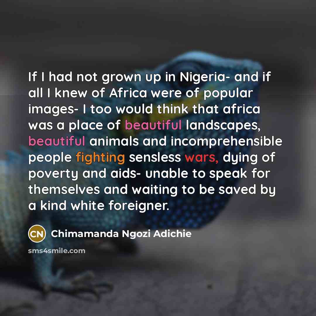 “If I had not grown up in Nigeria- and if…” quote by Chimamanda Ngozi Adichie