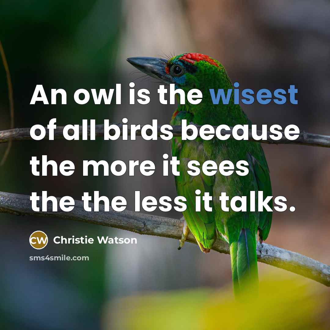 “An owl is the wisest of all birds because the…” quote by Christie Watson