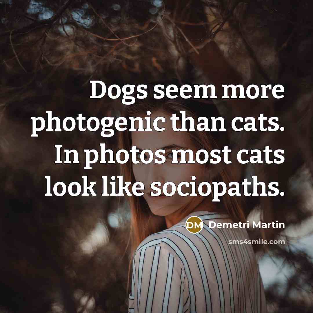 “Dogs seem more photogenic than cats. In photos most cats…” quote by Demetri Martin
