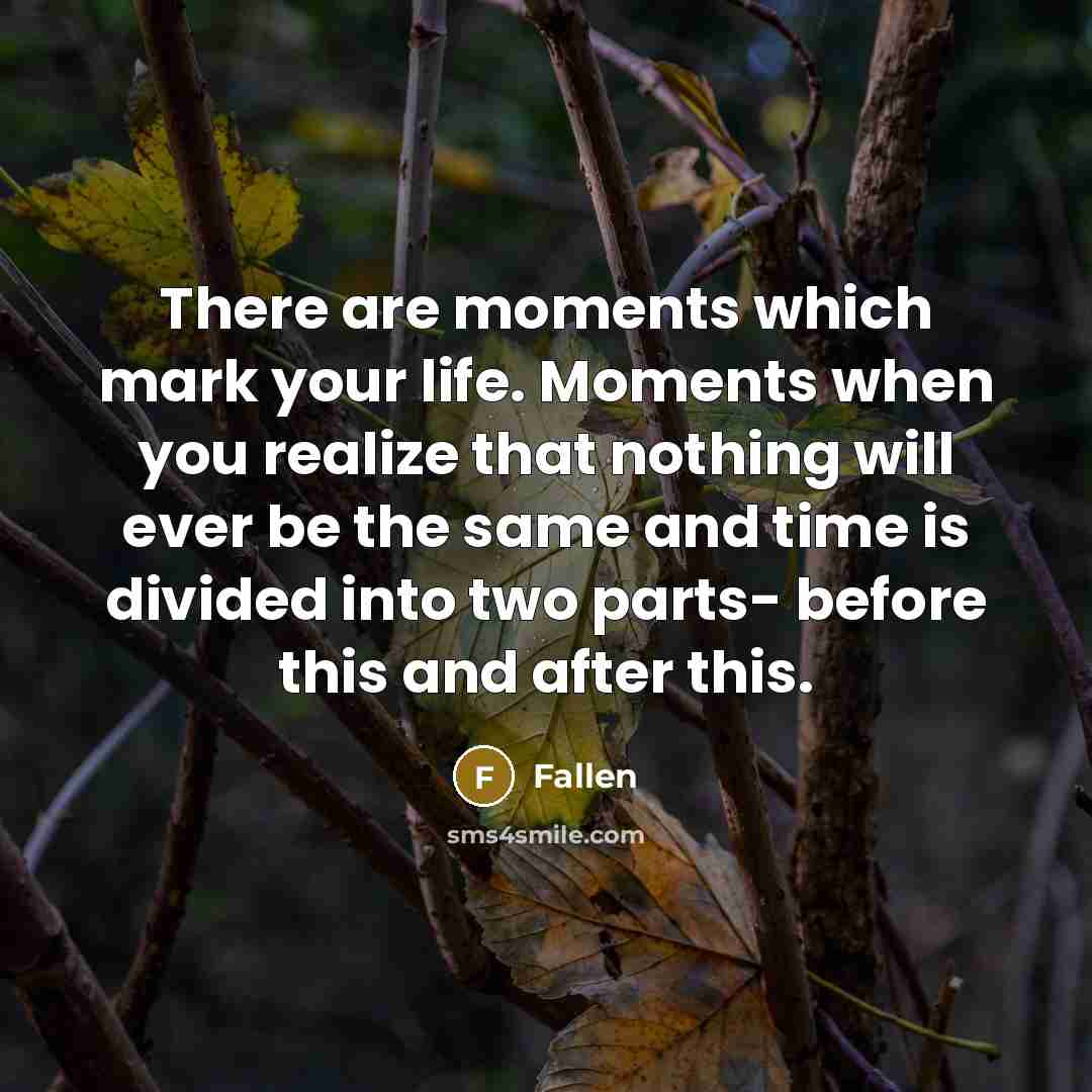 “There are moments which mark your life. Moments when you…” quote by Fallen