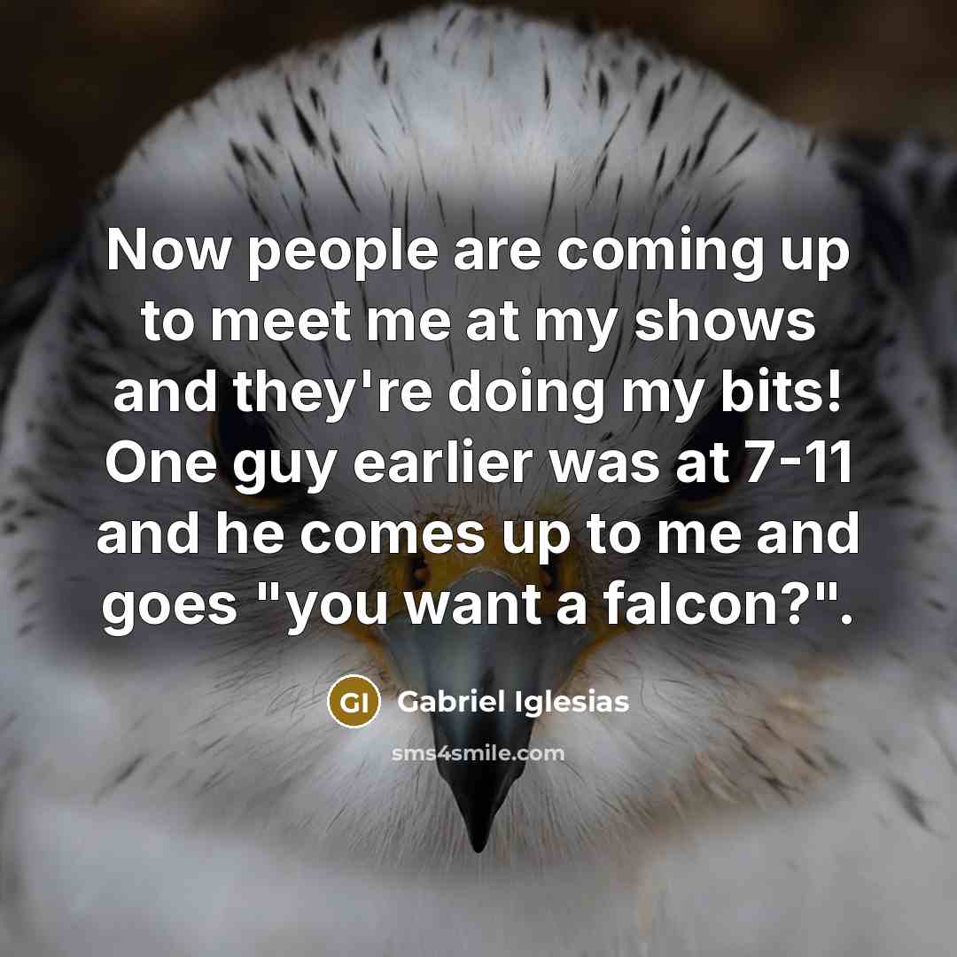 “Now people are coming up to meet me at my…” quote by Gabriel Iglesias