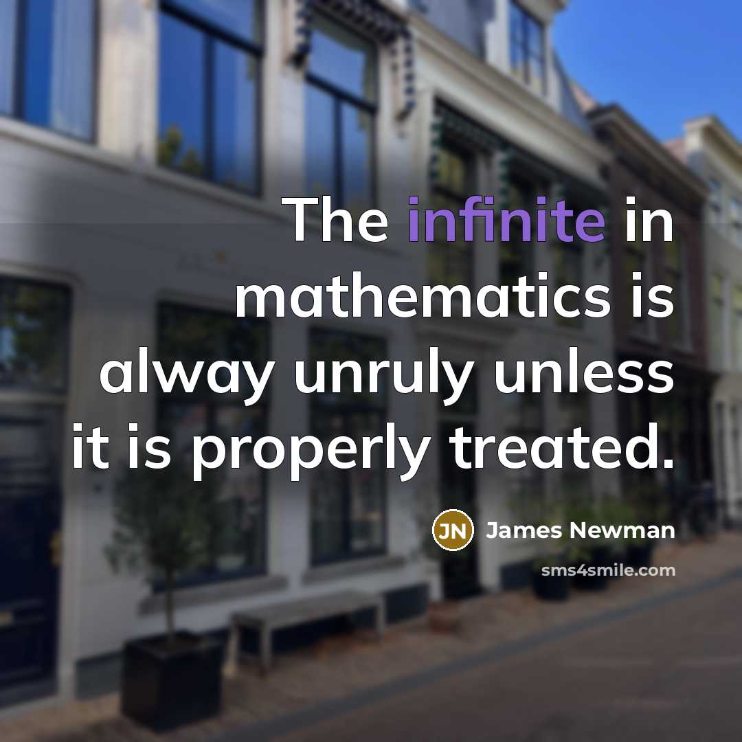 “The infinite in mathematics is alway unruly unless it is…” quote by James Newman