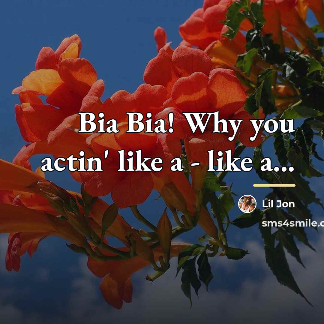 “Bia Bia! Why you actin' like a - like a...…” quote by Lil Jon