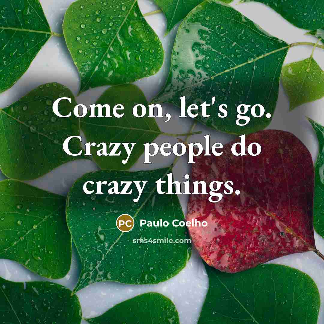 “Come on, let's go. Crazy people do crazy things.…” quote by Paulo Coelho