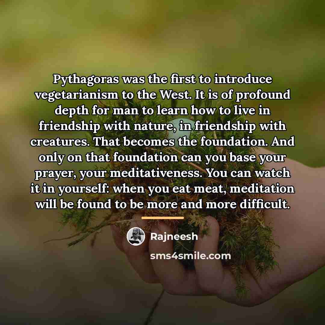 “Pythagoras was the first to introduce vegetarianism to the West.…” quote by Rajneesh
