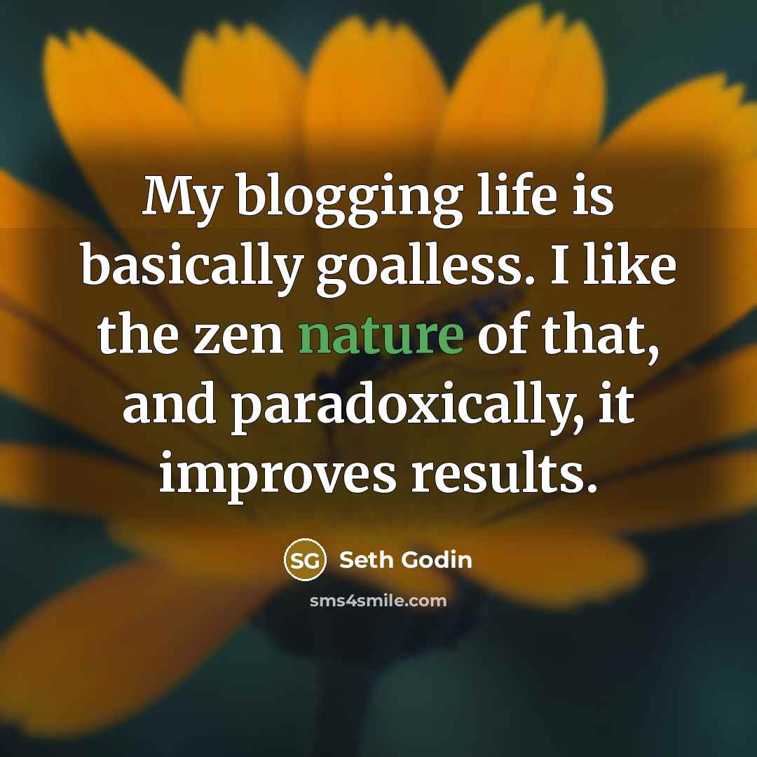 “My blogging life is basically goalless. I like the zen…” quote by Seth Godin