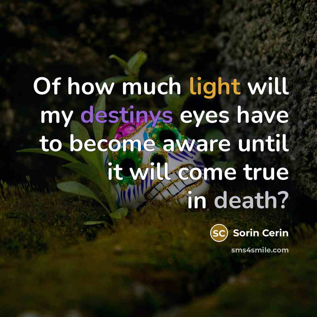 “Of how much light will my destinys eyes have to…” quote by Sorin Cerin