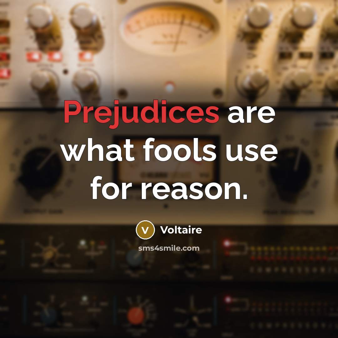 “Prejudices are what fools use for reason.” quote by Voltaire