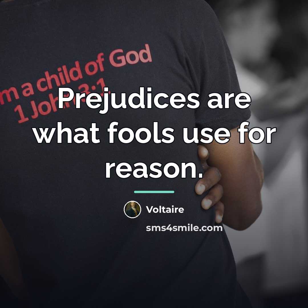 “Prejudices are what fools use for reason.…” quote by Voltaire