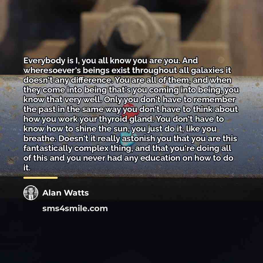 “Everybody is I, you all know you are you. And…” quote by Alan Watts