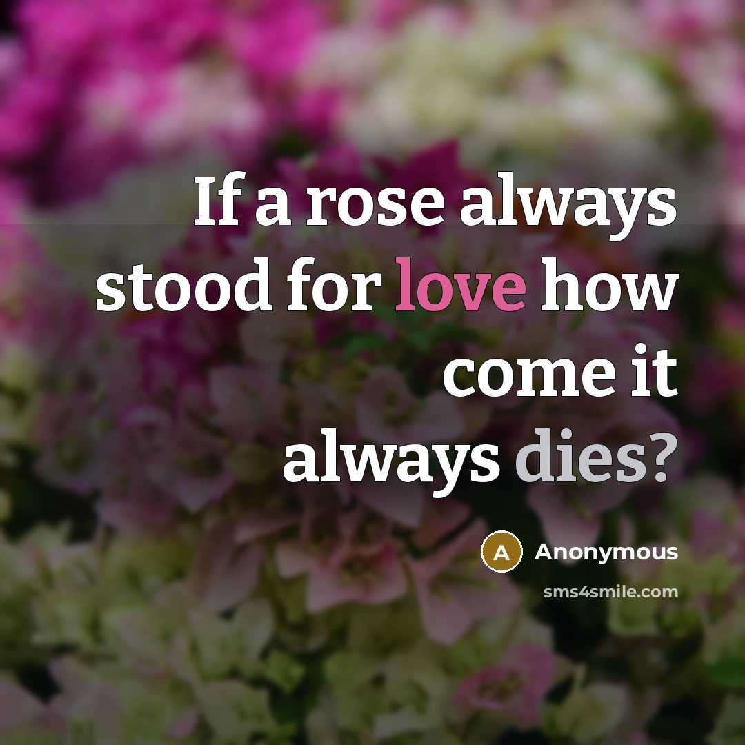 “If a rose always stood for love how come it always dies?” quote by Anonymous