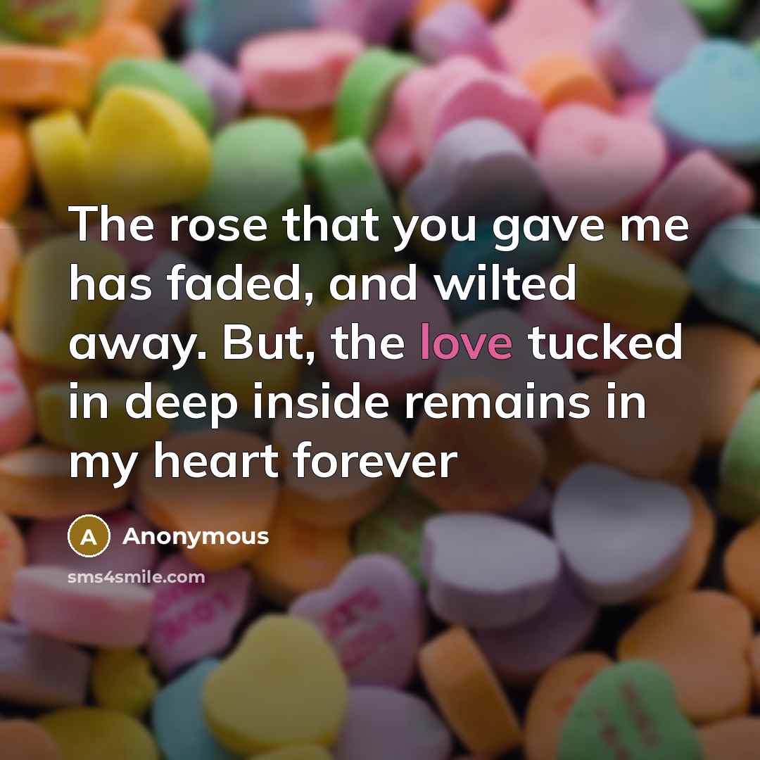 “The rose that you gave me has faded, and wilted…” quote by Anonymous