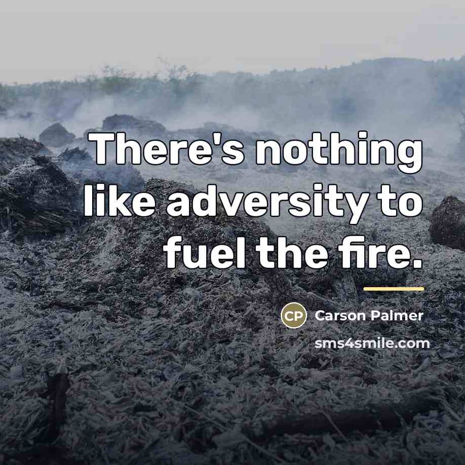 “There's nothing like adversity to fuel the fire.…” quote by Carson Palmer