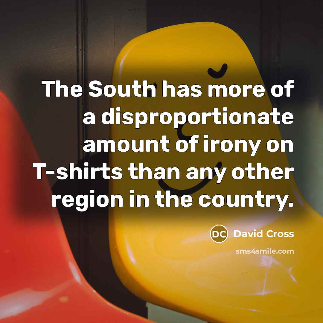 “The South has more of a disproportionate amount of irony…” quote by David Cross
